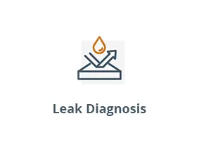 Leak Diagnosis